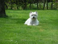 Klik op de foto voor groter formaat